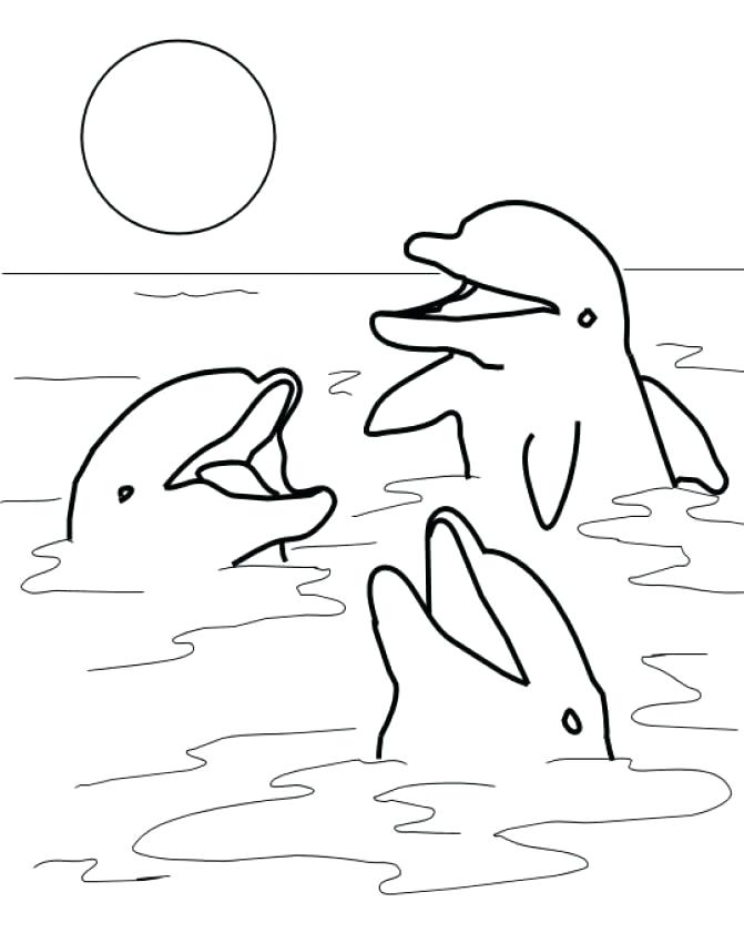 671x850 Printable Dolphin Coloring Pages Coloring Pages Of Dolphins