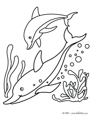 364x470 Dolphin Coloring Pages Elegant Dolphin Color Page In Download