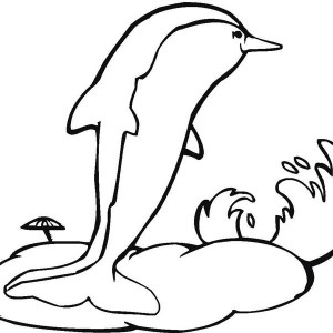 300x300 Dolphin Gotchor Of A Boat Coloring Page Dolphin Got