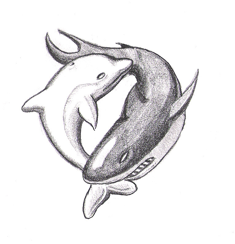 765x795 Dolphin Shark,ying Yang By Krio0ut