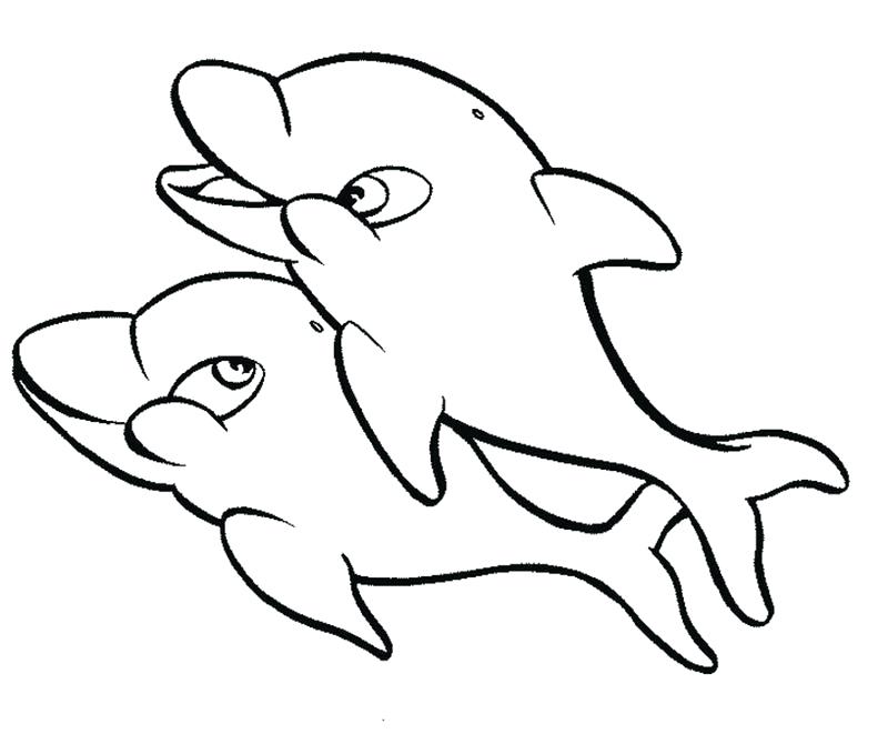 800x661 Cute Dolphin Coloring Pages Best Cute Dolphin Coloring Pages