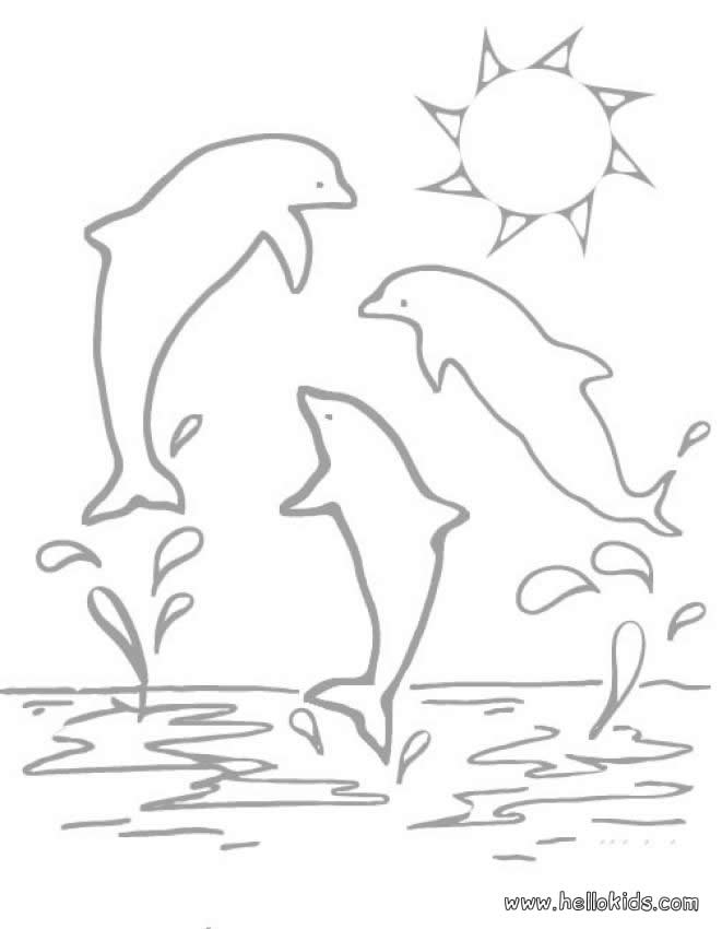 661x850 Dolphin Coloring Pages Free Many Interesting Cliparts