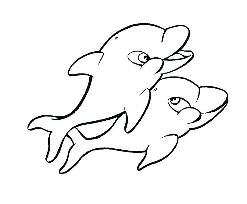 800x661 Dolphin Coloring Sheet Coloring Page Of A Dolphin Coloring Pages