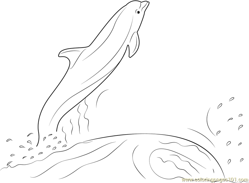 800x589 Dolphin Jumping Out Of The Water Coloring Page