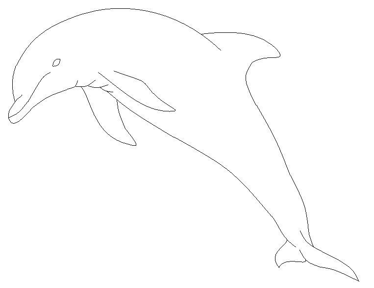 763x587 Dolphin Line Art Free By Dinogirl500