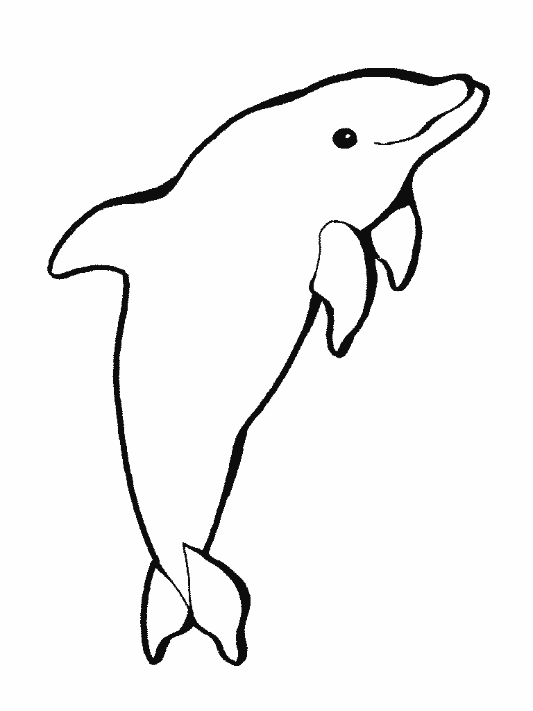 768x1024 Black And White Dolphin Drawing