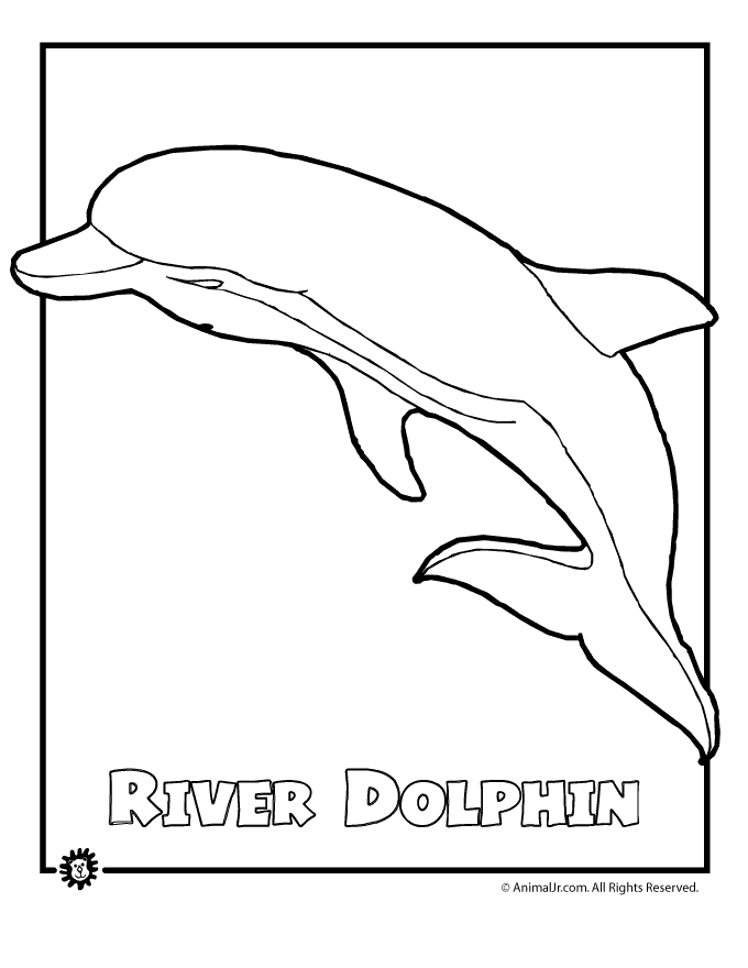 680x880 River Dolphin Science Evs Free Printable