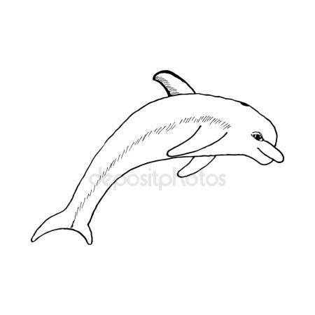 450x450 Dragonfly. Drawing. Sketch Style. Conditional Vector Image In