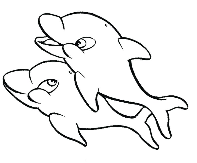 800x661 Dolphin Coloring Pages Baby Dolphin Coloring Pages A Free Online