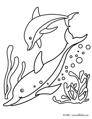364x470 The Best Dolphin Coloring Pages Ideas On Adult