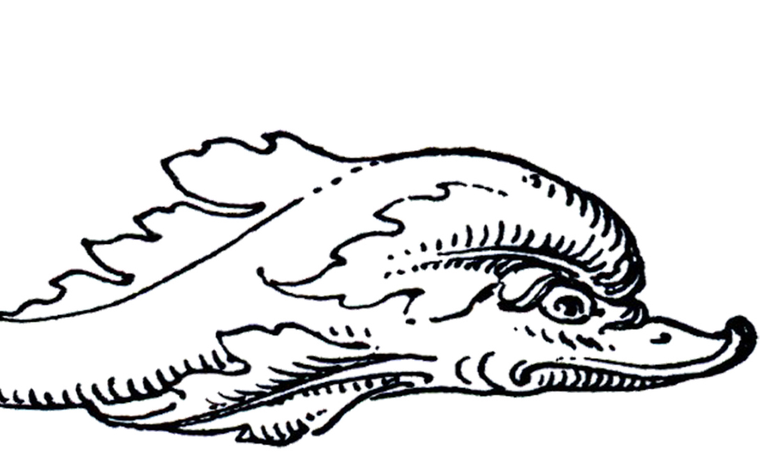 1089x656 Vintage Dolphin Images