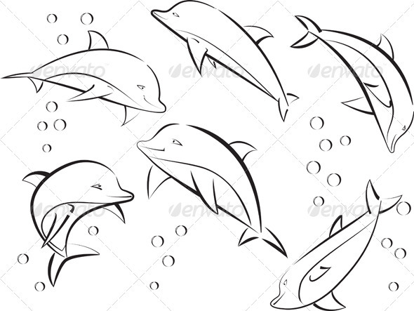 590x443 Cheerful Sea Dolphins