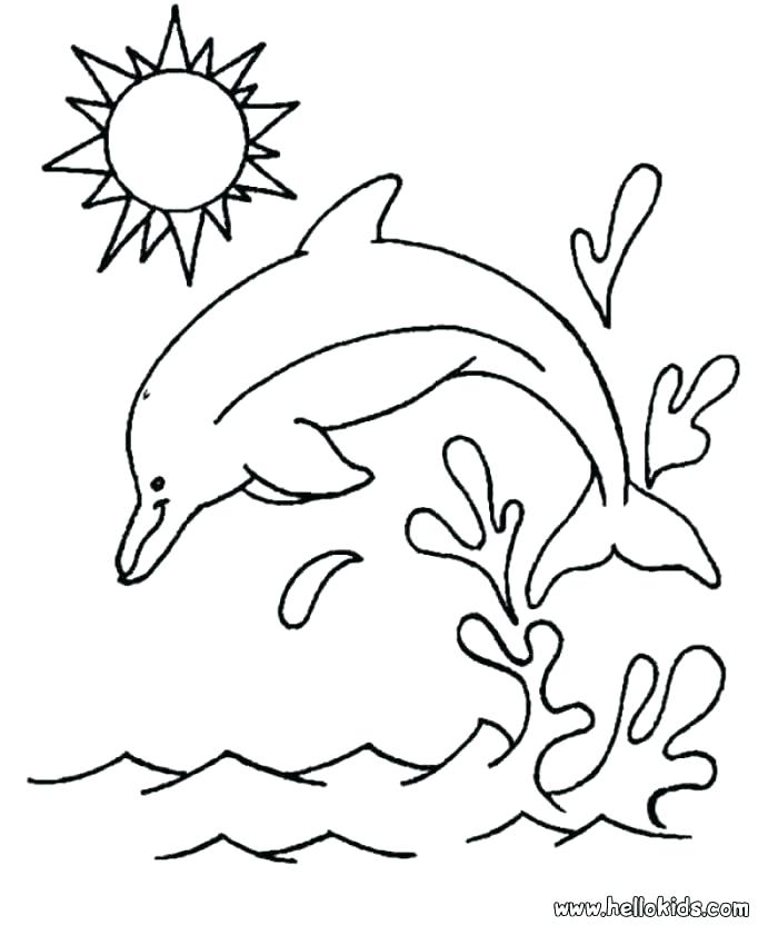 700x850 Cute Dolphin Coloring Pages Baby Dolphin Coloring Pages Baby