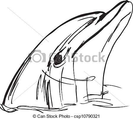 450x403 Dolphin Clipart Face