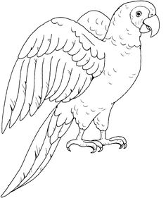 236x281 How To Draw A Dolphin Sketchbook Ideas Draw