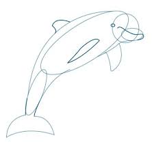 222x227 Image Result For Dolphin Drawing Simple Dolphin