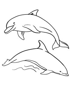 236x305 Bottlenose Dolphin Clipart Bottom