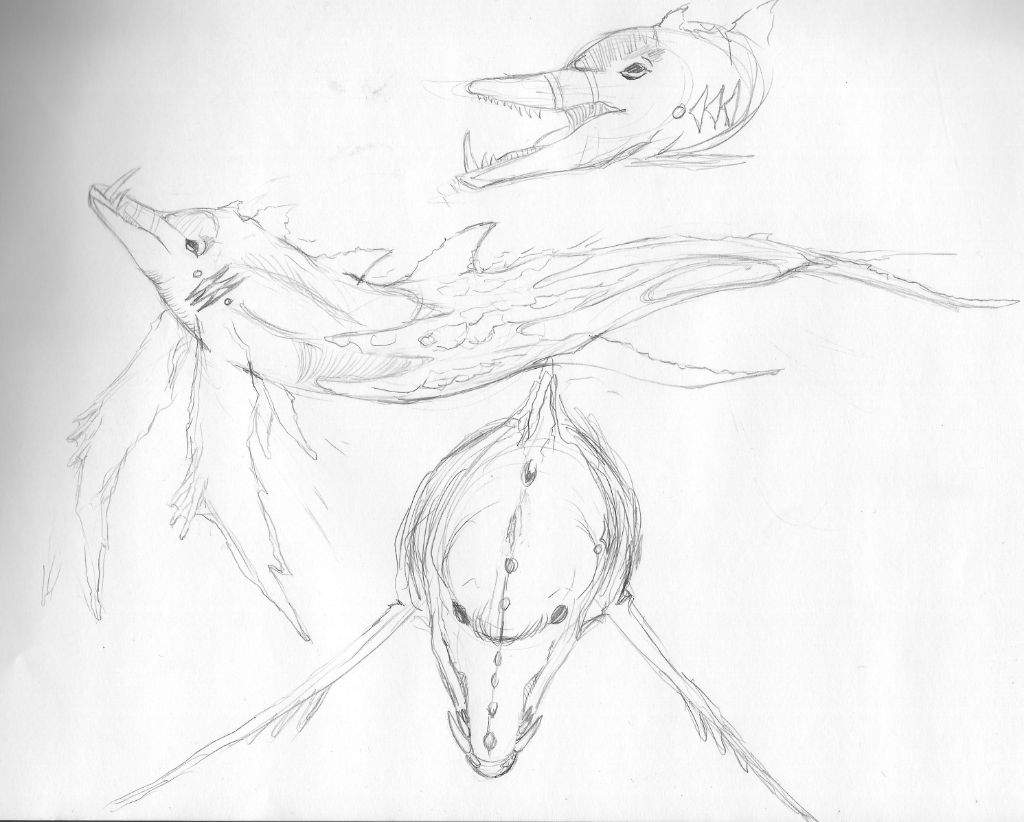 1024x822 Wip Art Amino