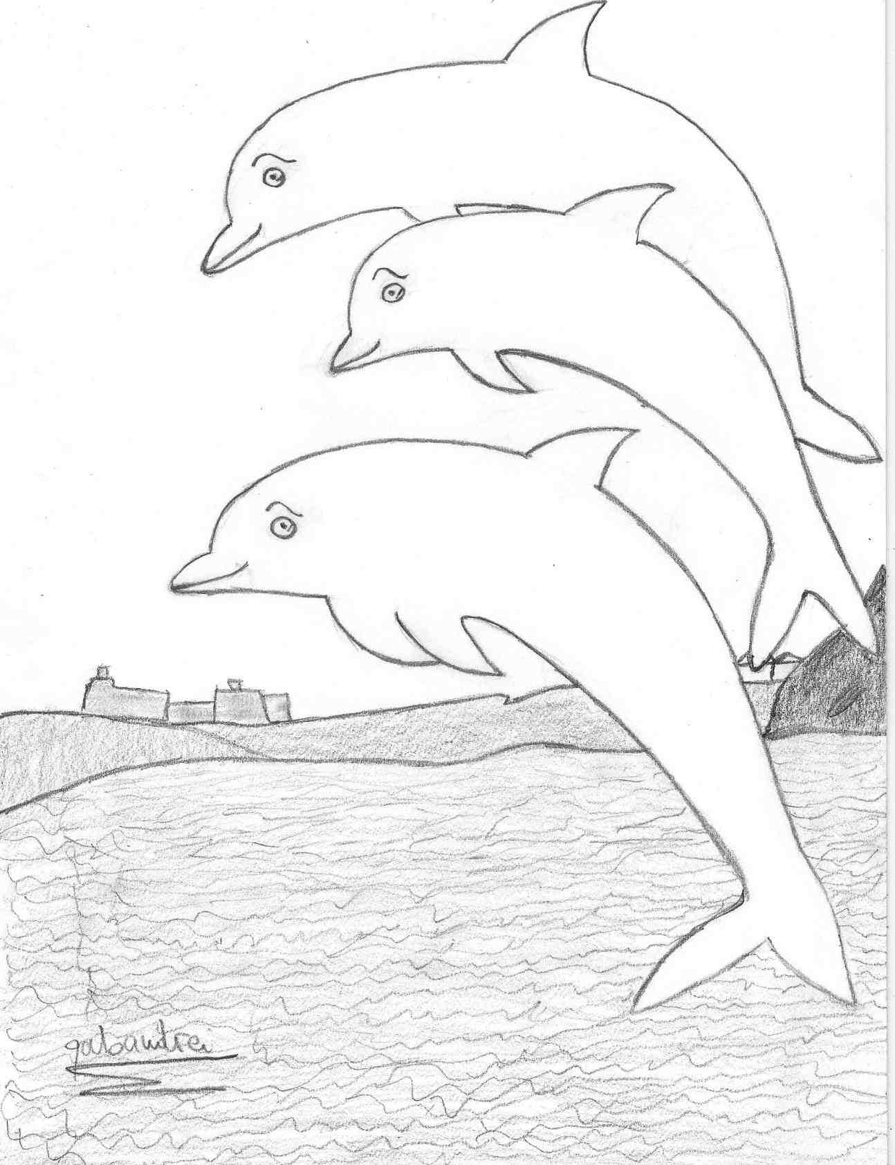 1294x1683 How To Draw A Dolphin Jumping Out Of The Water Step By Step