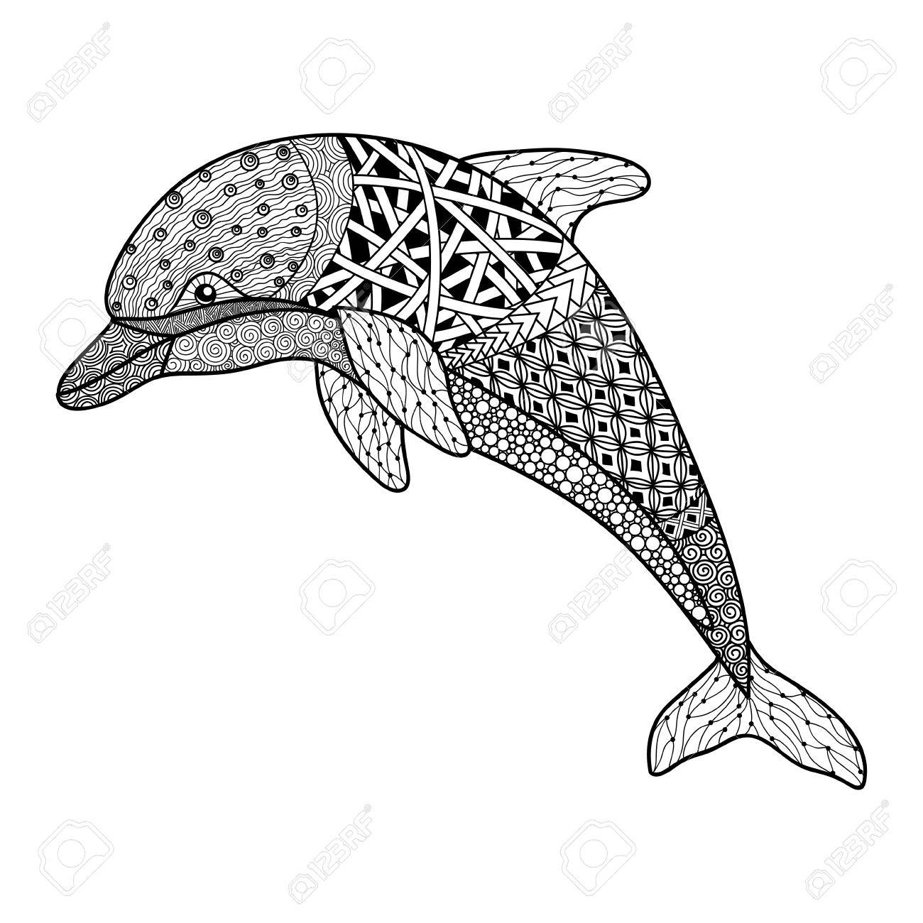 Dolphin Picture Drawing