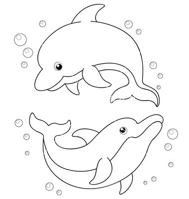 380x400 Dolphin Drawing Outline