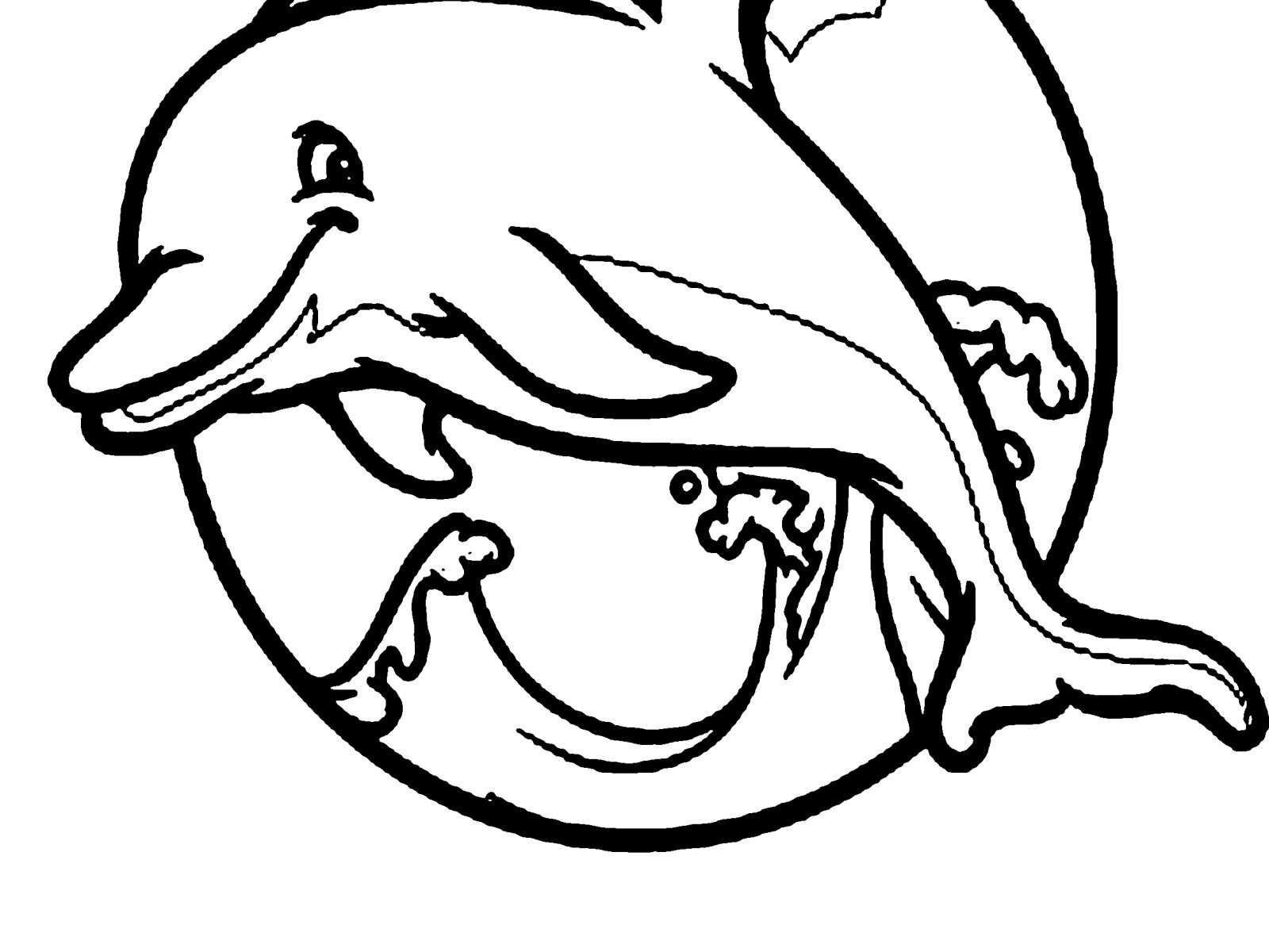 1600x1200 Drawn Dolphines Coloring Page 3307657