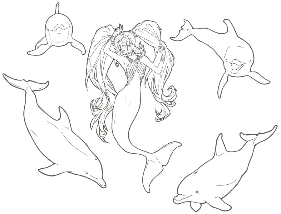 900x685 Drawn Dolphins Mermaid