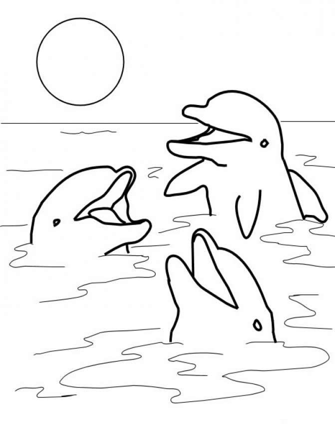 671x850 Free Printable Dolphin Coloring Pages For Kids