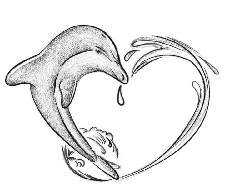 736x629 Awesome Dolphin Tattoo Designs