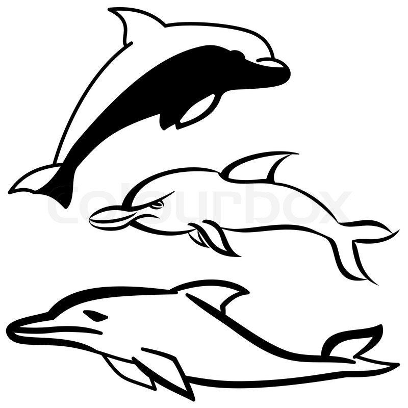 800x800 Simple Black And White Dolphin Cartoon Icon Stock Vector Colourbox