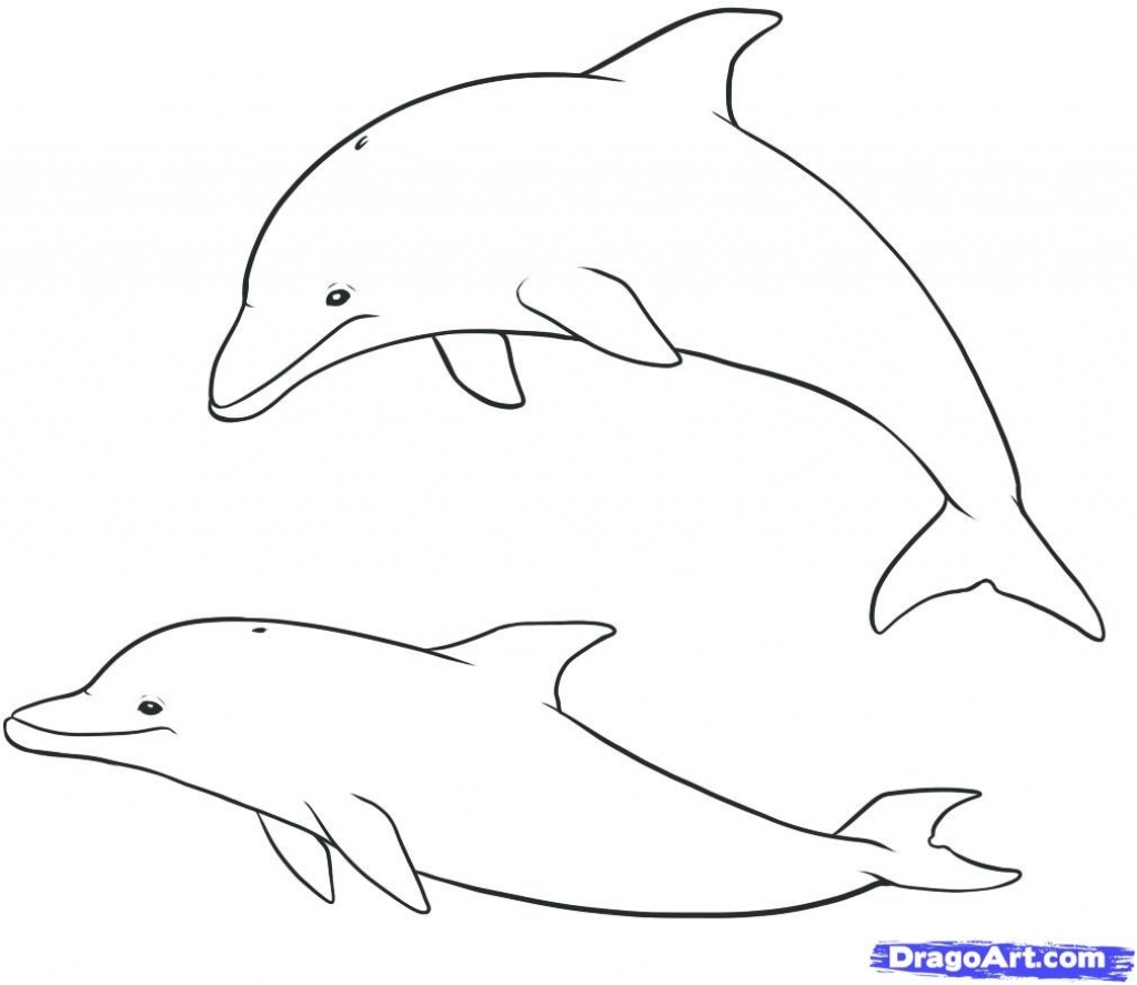 1024x887 Step By Step To Draw A Dolphin