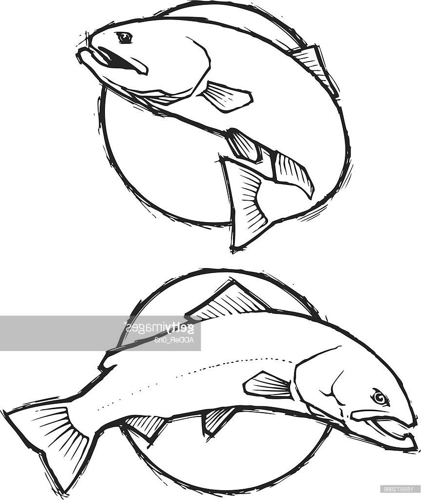 862x1024 Trout Sketch Simple Vector