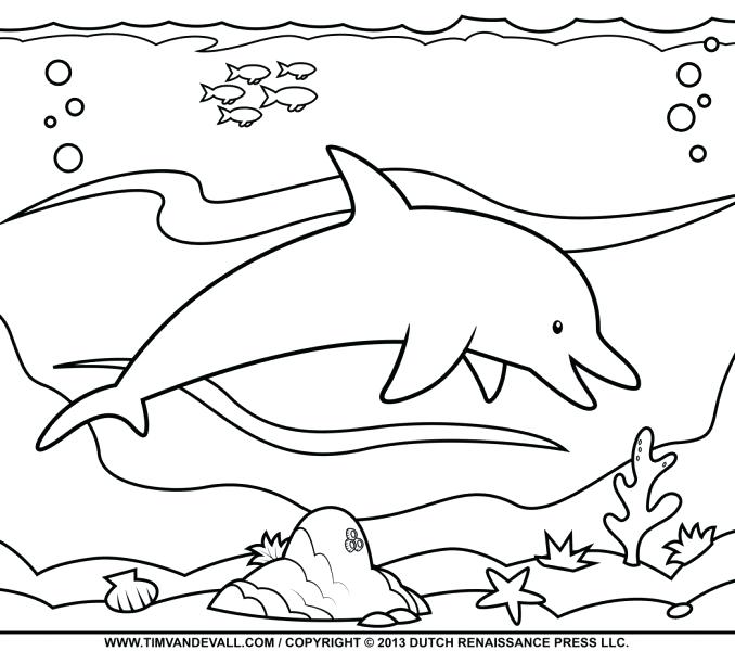 678x600 Coloring Pages Dolphin Mermaid With A Dolphin Coloring Page