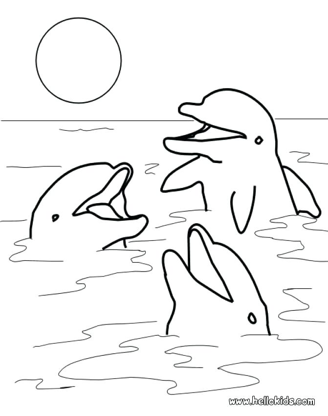 671x850 Dolphin Coloring Pages Also Coloring Pages Dolphins Dolphin