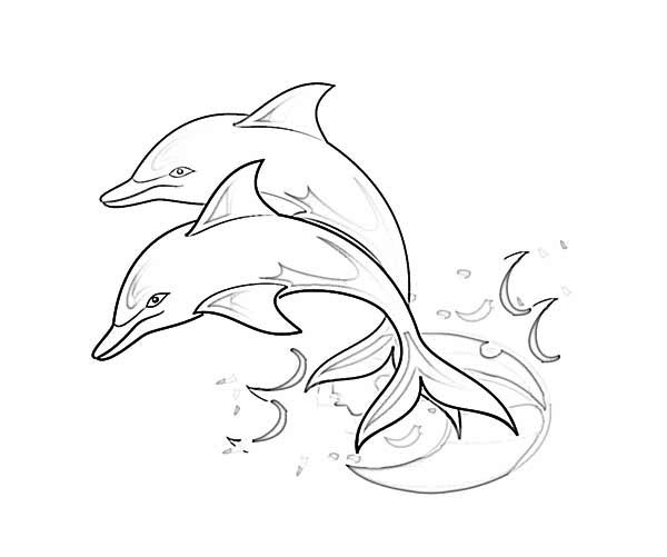 600x501 Dolphin Line Drawing