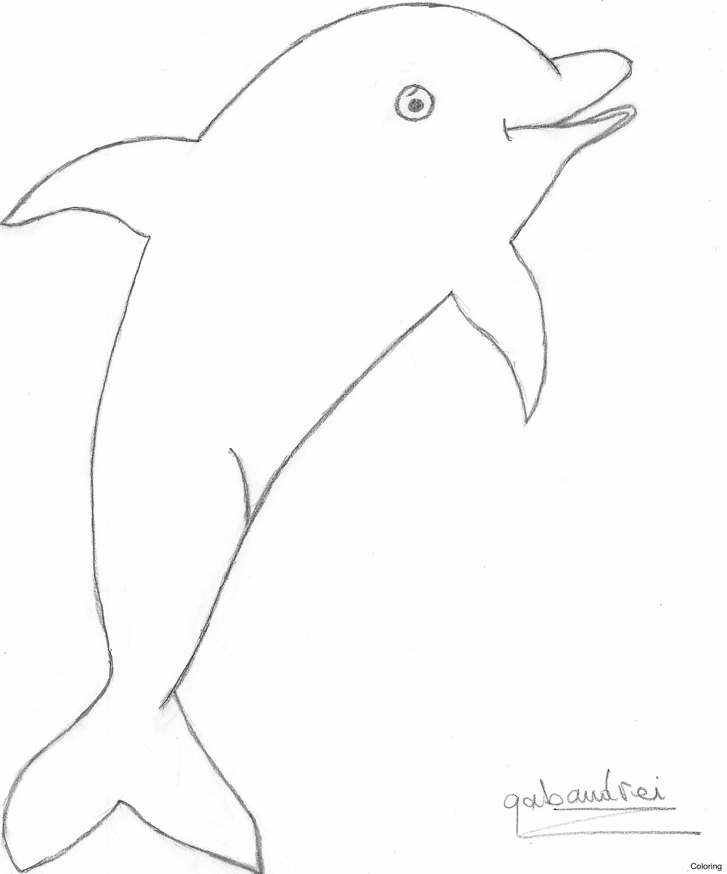 1476x1774 Draw A Dolphin Step 14 How To Coloring 22f Fish Tale Jumping Out