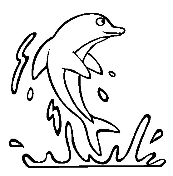 554x565 Drawn Dolphins Easy