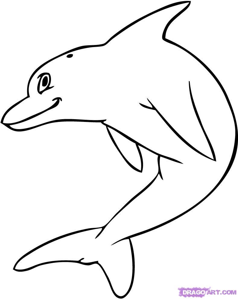 789x991 How To Draw A Cartoon Dolphin Step By Animals That Are Easy