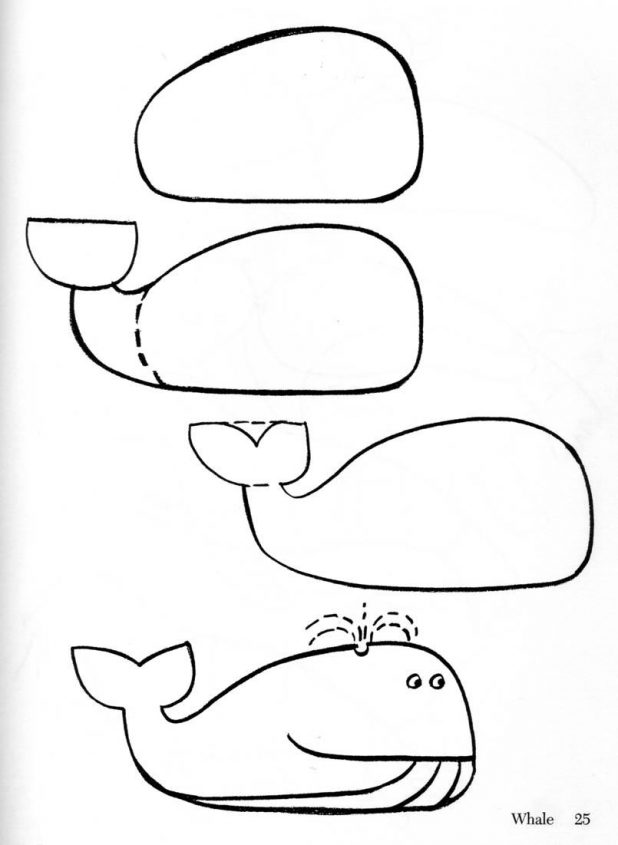 618x845 Adult How To Draw A Dolphin Kids How To Draw A Dolphin