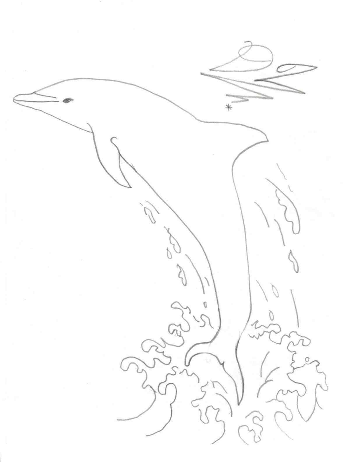 1201x1586 How To Draw A Dolphin Step By Step Realistic