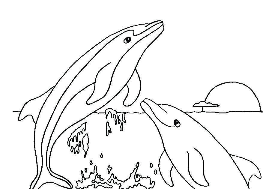 877x630 Coloring Pages Of Dolphins Printable Dolphin Coloring Pages