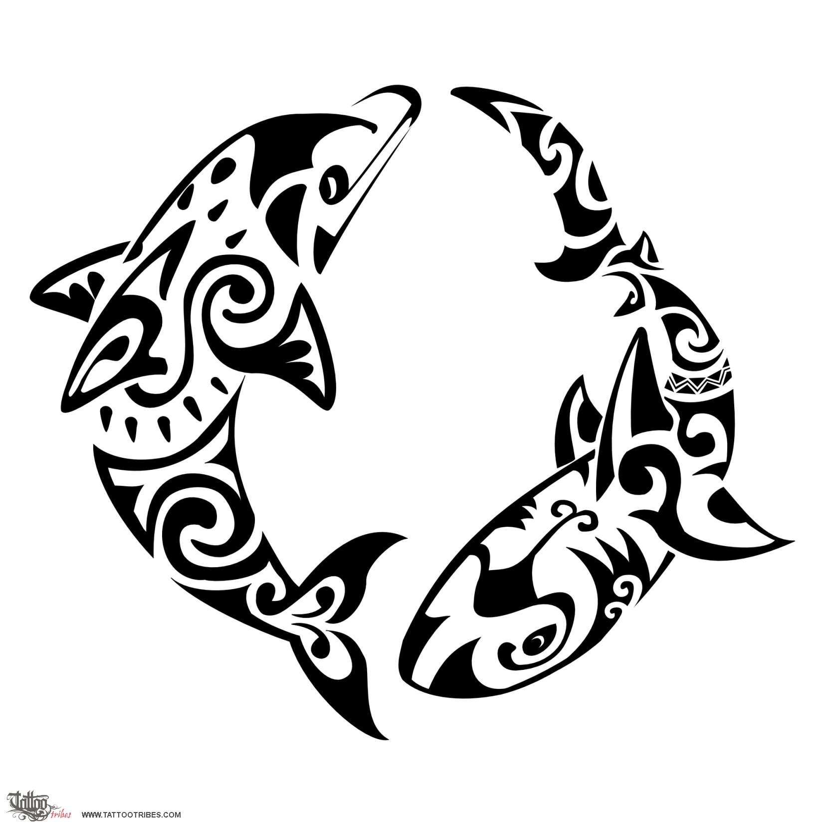 1654x1654 Tattoo Of Dolphin And Shark, Harmony, Protection Tattoo