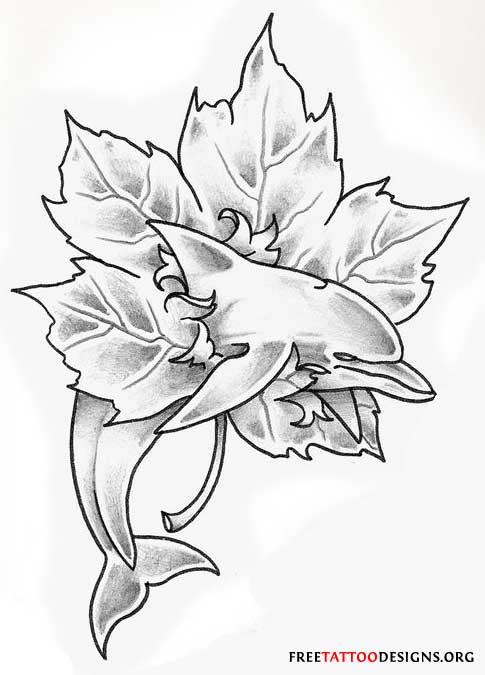 485x675 35 Dolphin Tattoos And Tattoo Designs