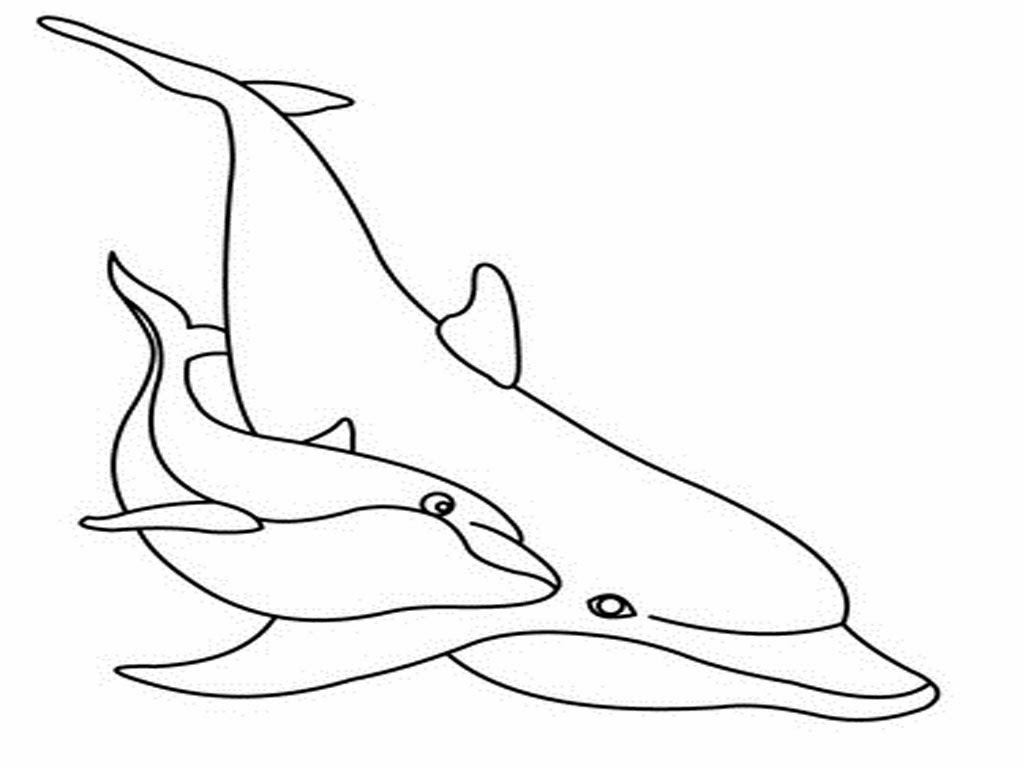 1024x768 Colour Drawing Free Wallpaper Dolphins Coloring Drawing Free