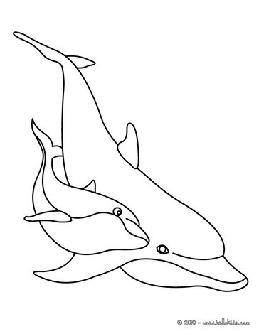 364x470 Dolphin Coloring Pages, Free Online Games, Drawing For Kids