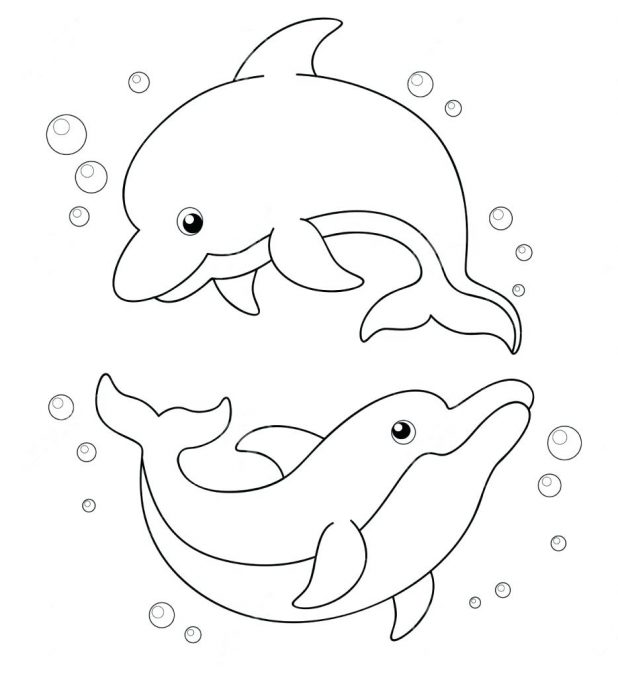 618x678 Dolphin Coloring Pictures To Print Pages Out Miami Dolphins