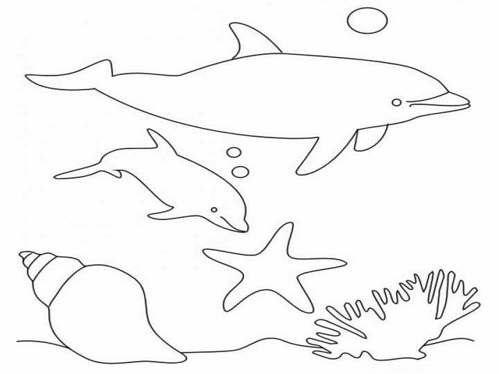 1024x768 Dolphins Coloring Drawing Free Wallpaper Anggela Coloring Book