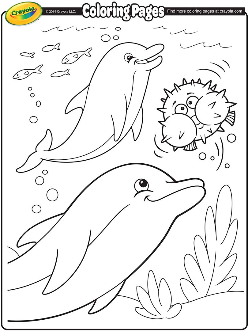 810x1080 Dolphins Coloring Page