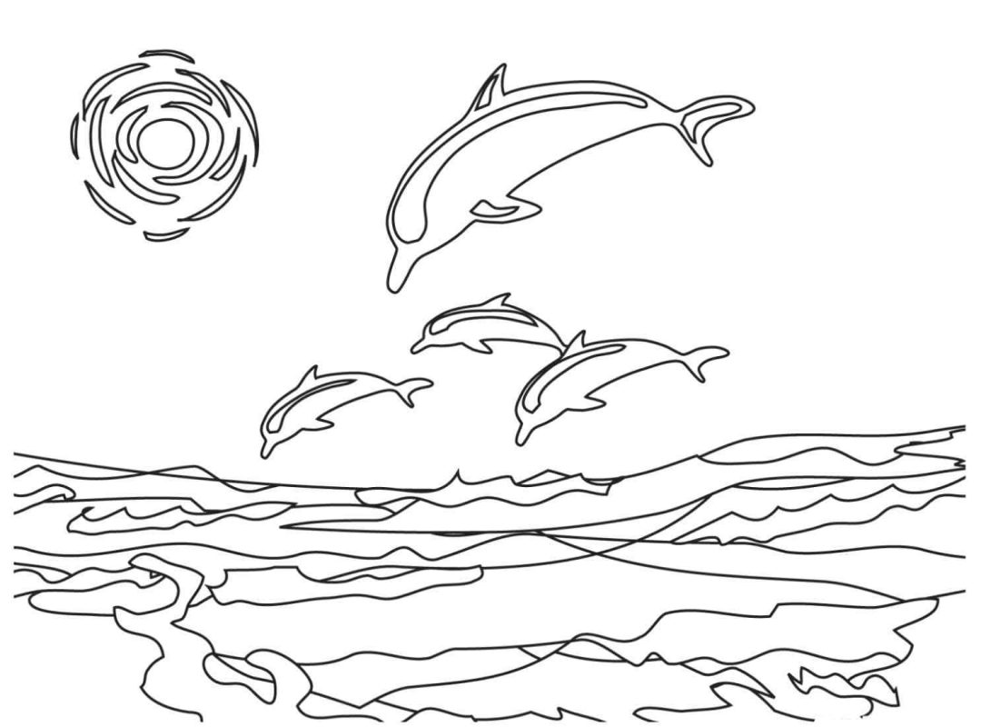 1080x800 Dolphins Coloring Pages Printable For Adult Free Animals Adults