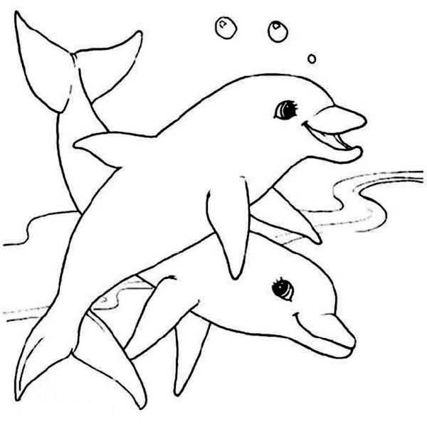 600x600 Drawn Dolphins Sea Animal